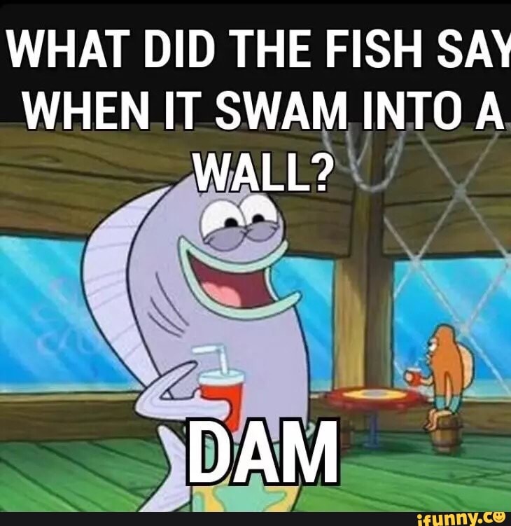 WHAT DID THE FISH SAY WHEN IT SWAM INTO A )