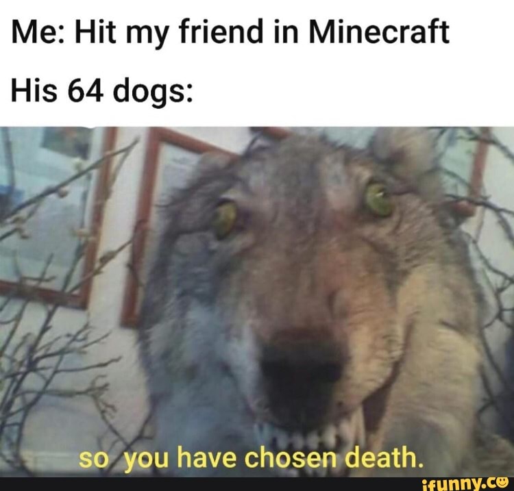 Me: Hit my friend in Minecraft
His 64 dogs:
so you have chosen death.
