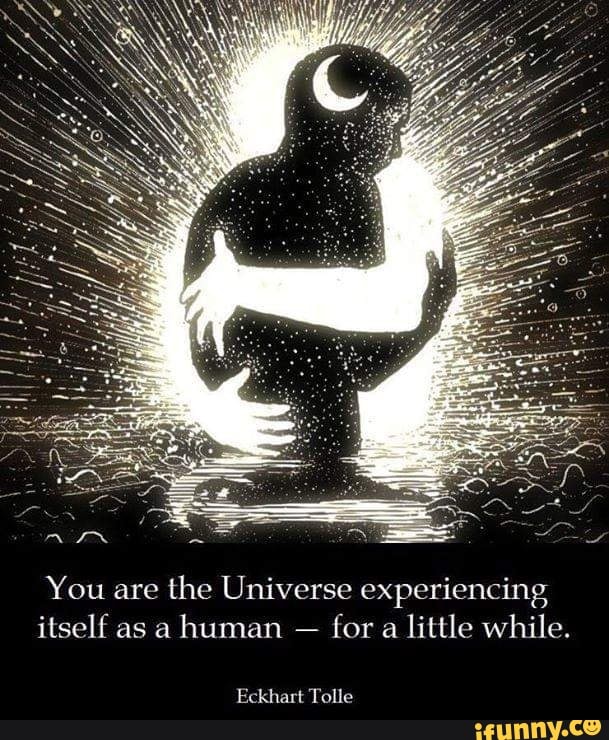 We Are The Universe Experiencing Itself Quote You Are The Universe Experiencing Itself As A Human - For A Little While. -  )