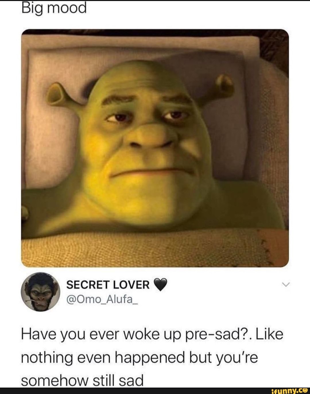 Have you ever woke up pre-sad?. Like
nothing even happened but you're
somehow still sad