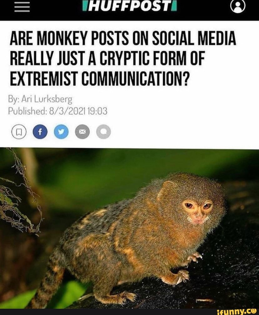 ARE MONKEY POSTS ON SOCIAL MEDIA REALLY JUST A CRYPTIC FORM OF ...