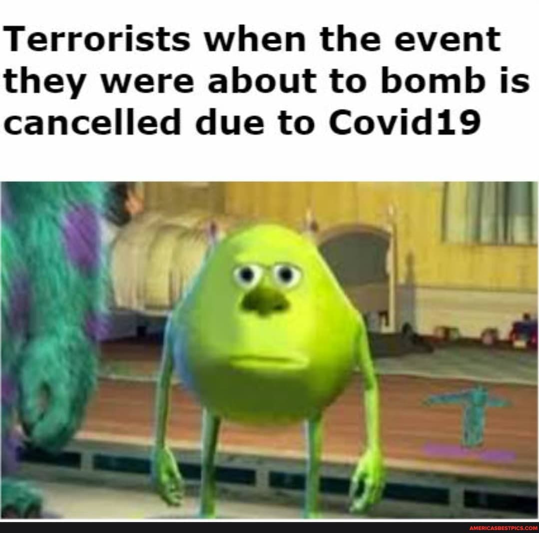 Terrorists when the event they were about to bomb is cancelled due to Covid19