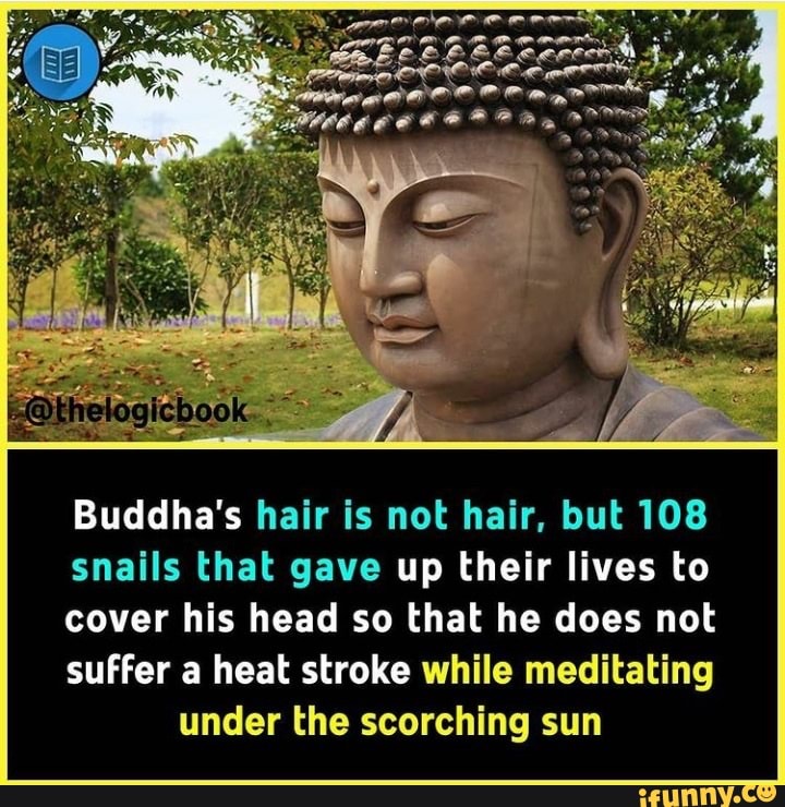 Buddha's hair is not hair, but 108 snails that gave up their lives to cover  his