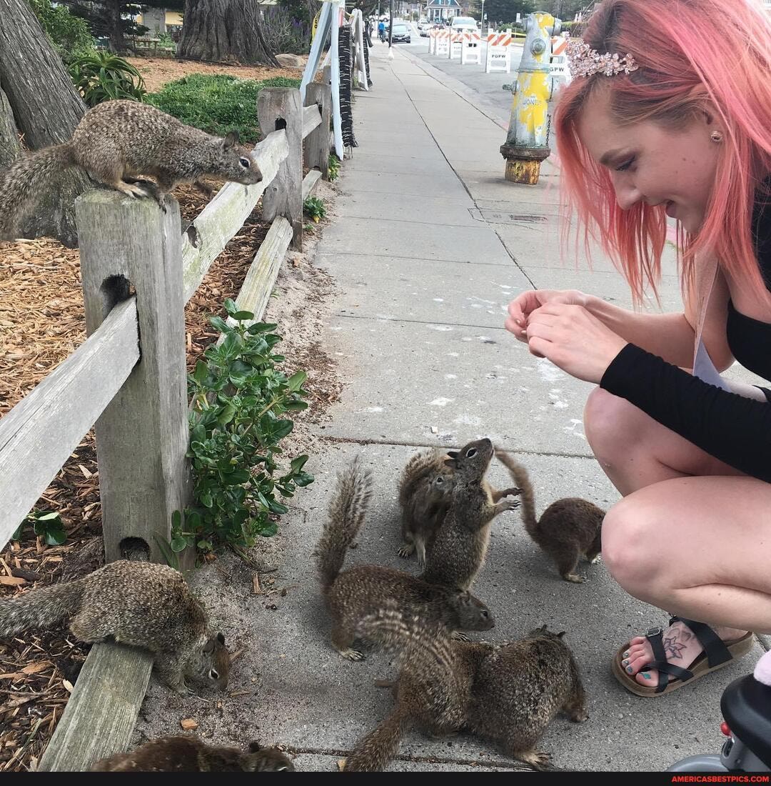 squirrel, whisperer