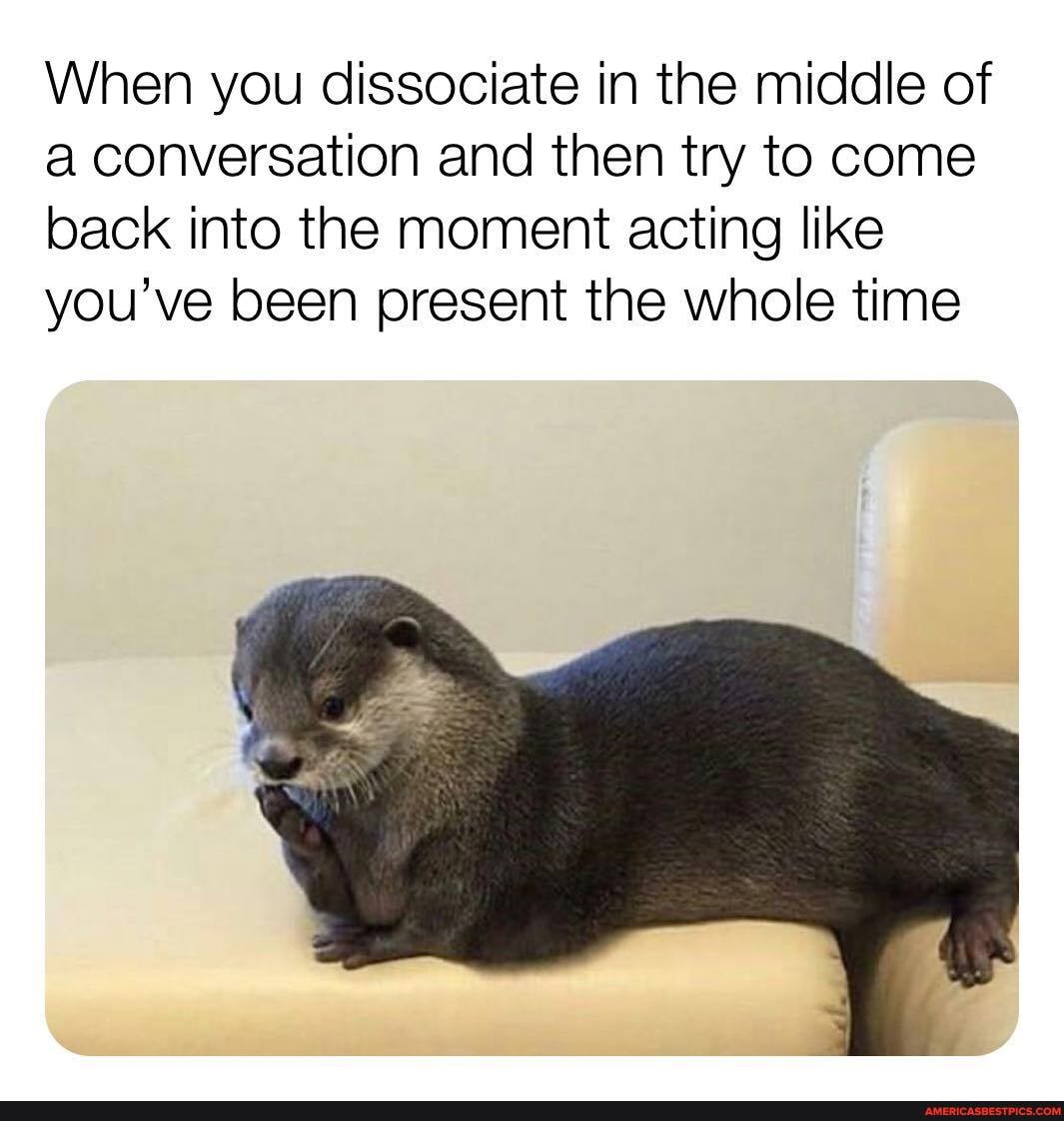 When you dissociate in the middle of a conversation and then try to come back into the moment acting like you've been present the whole time