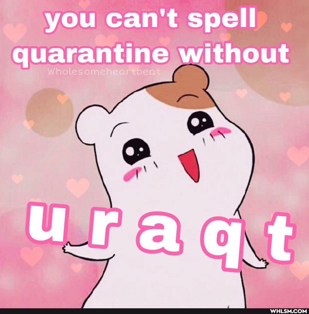 you can't spell quarantine without
uradt