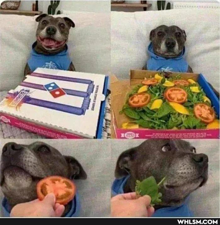 funny, wtf, pizza, lol