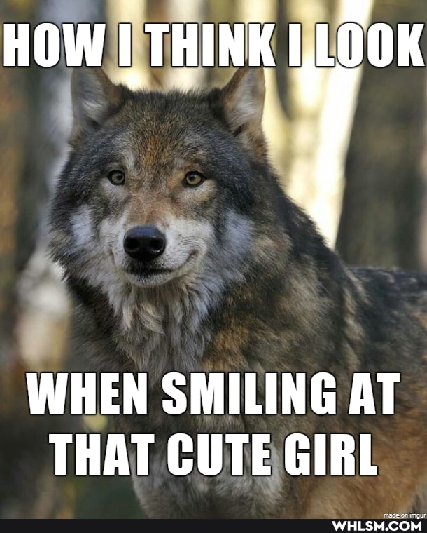 HOW THINK LOOK
WHEN SMILING AT THAT CUTE GIRL