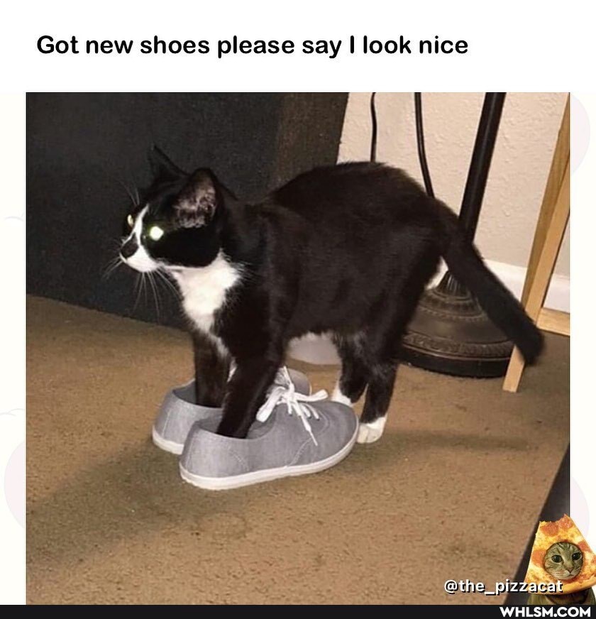 Got new shoes please say I look nice
the