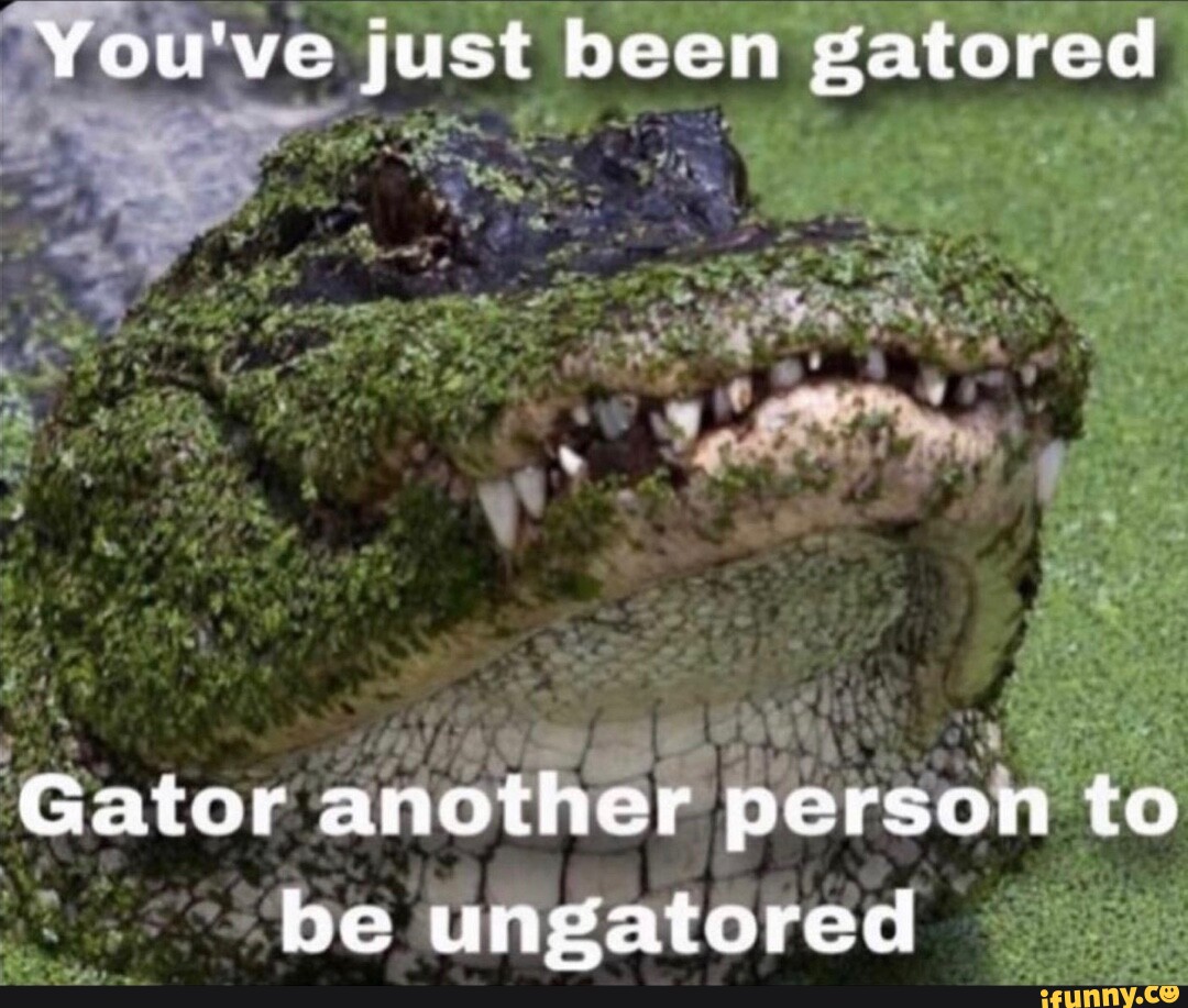 You've just been gatored ts Gator another person to be ungatored - iFunny
