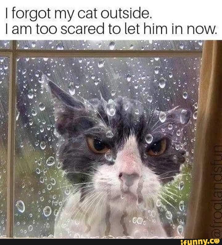 I forgot my cat outside. I am too scared to let him in now. - )