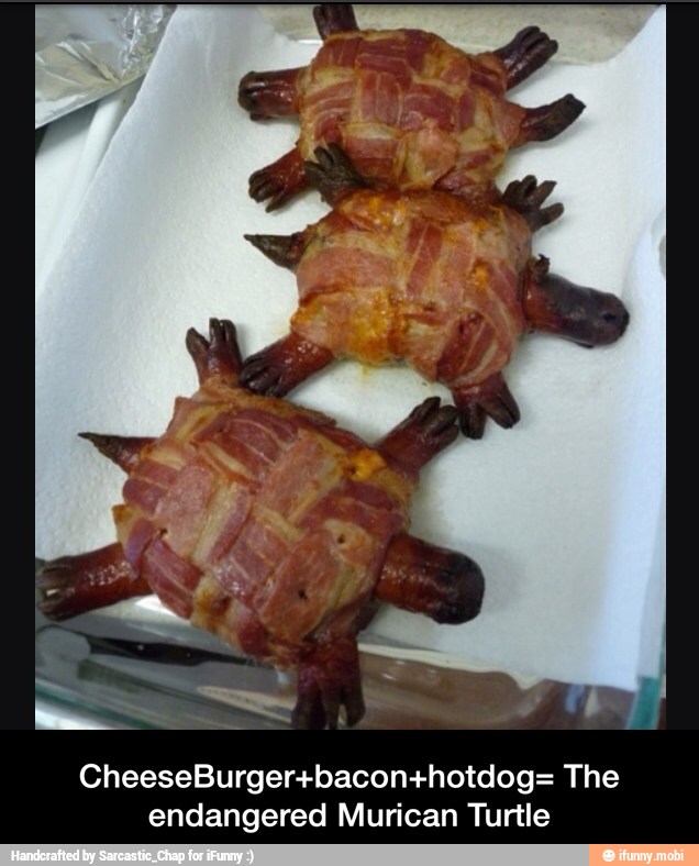 CheeseBurger+bacon+hotdog= The
endangered Murican Turtle - CheeseBurger+bacon+hotdog= The endangered Murican Turtle