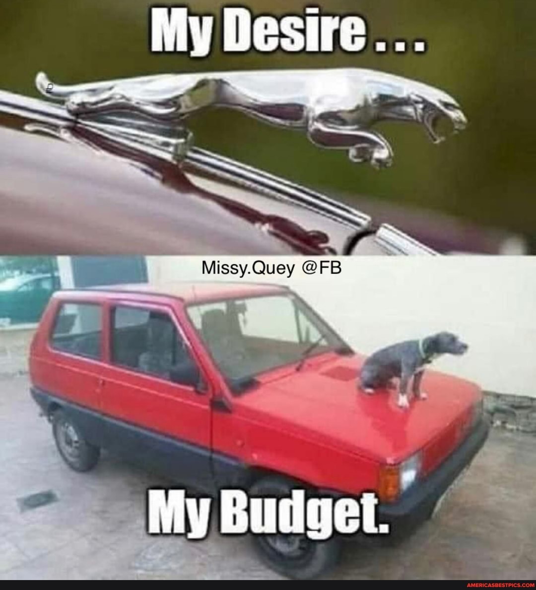 My Desire...
My Budgei.
