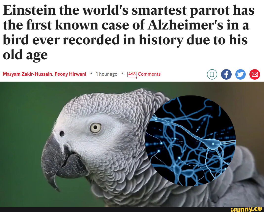 SciFi Author Jared Gray Turns His Sleep Apnea Mask Into An Alien