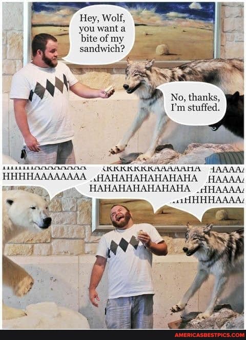 Hey, Wolf, you want a bite of my sandwich?
No, thanks,
I'm stuffed.
HHHHAAAAAAAA