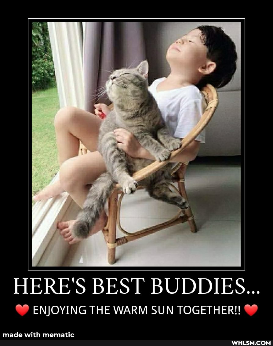 HERE'S BEST BUDDIES...
ENJOYING THE WARM SUN TOGETHER!
made with mennatic