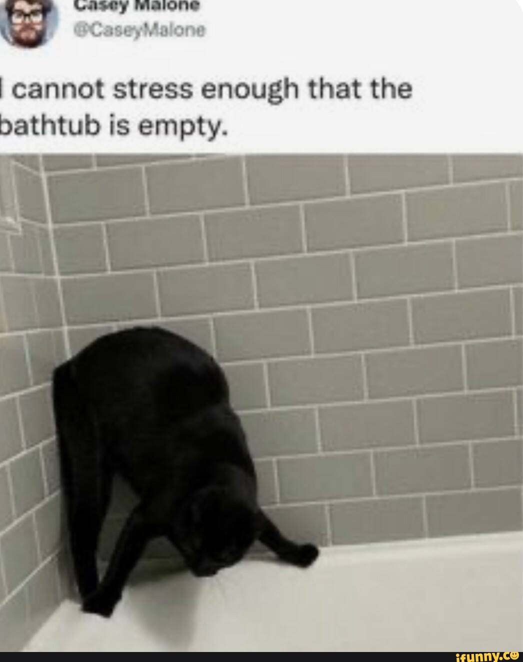 Bathtub memes. Best Collection of funny Bathtub pictures on iFunny