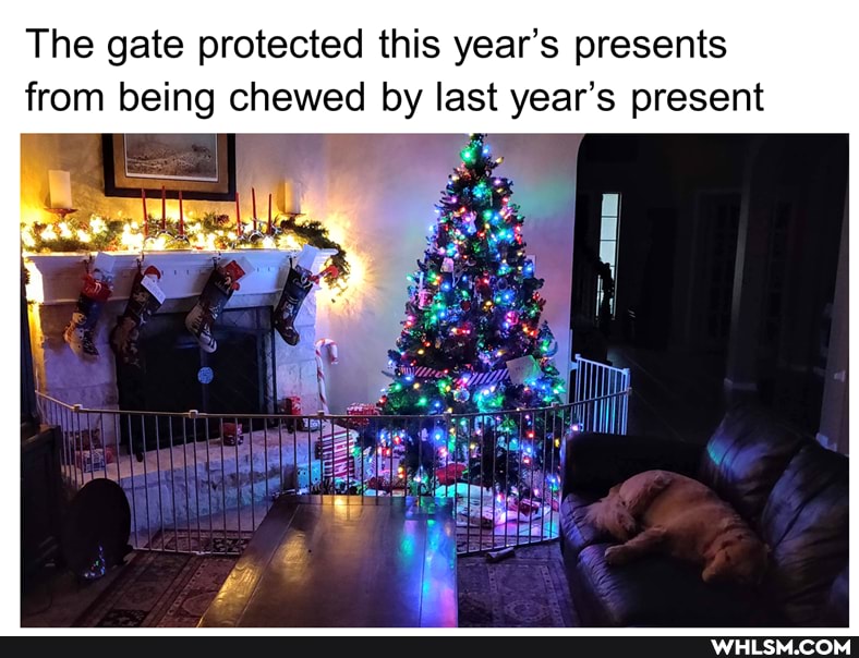 The gate protected this year's presents from being chewed by last year's present