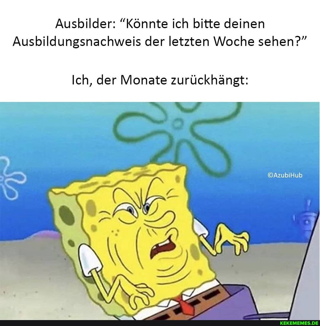 Ausbilder: "Könnte ich bitte deinen
Ausbildungsnachweis der letzten Woche sehen?"
Ich, der Monate zurückhängt: