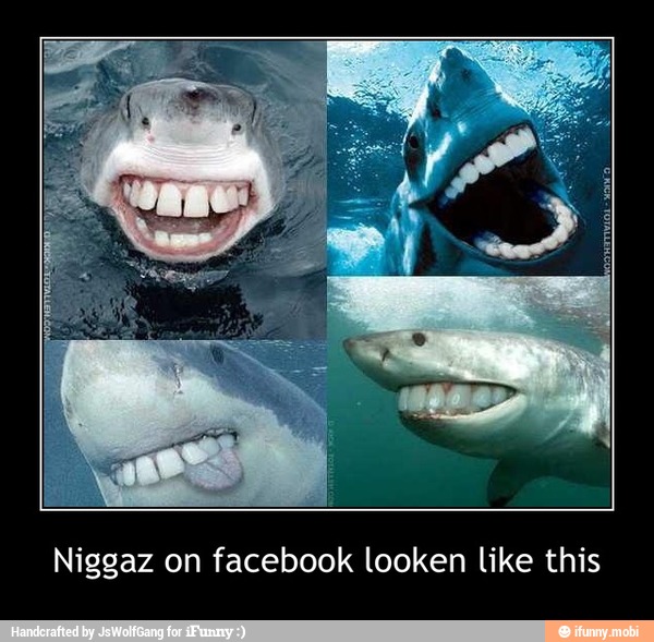 Niggaz on facebook looken like this - Niggaz on facebook looken like this