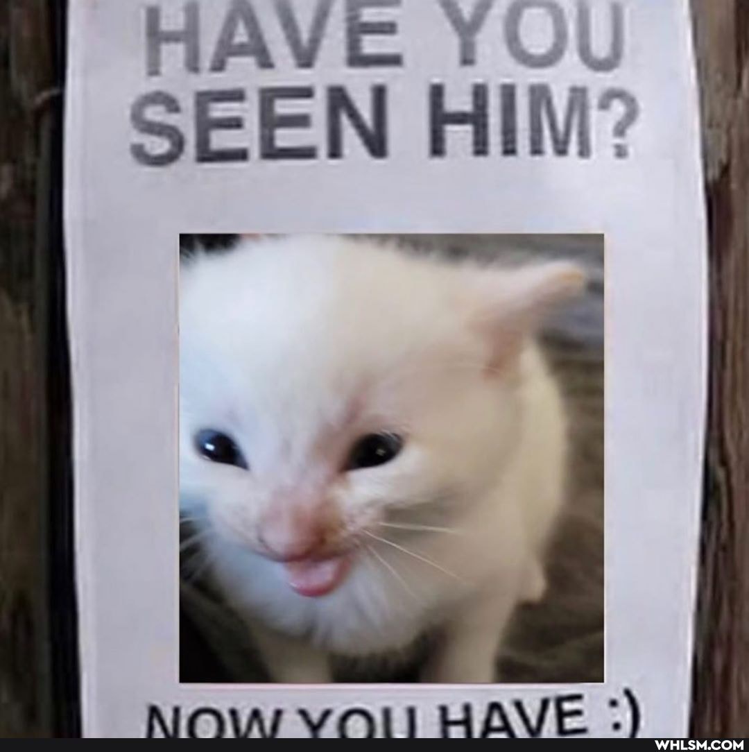 HAVE YOU SEEN HIM?
LL