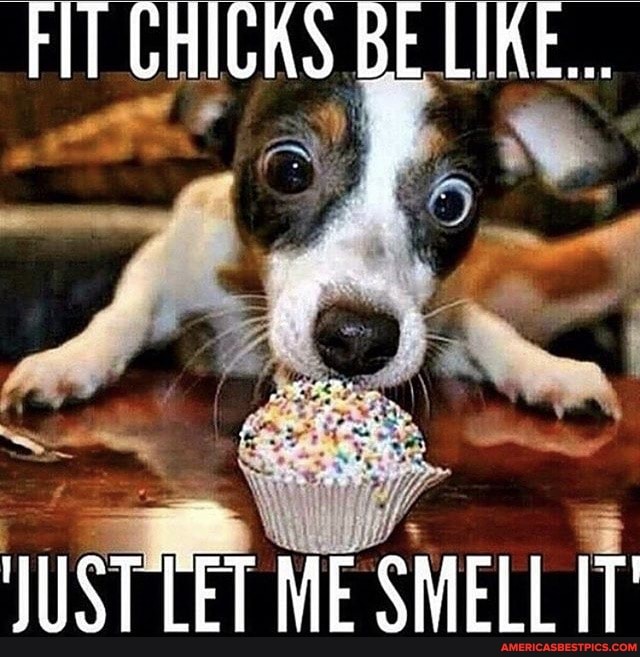 FIT GHICKS BE LIKE...
NUST LET ME SMELL IT