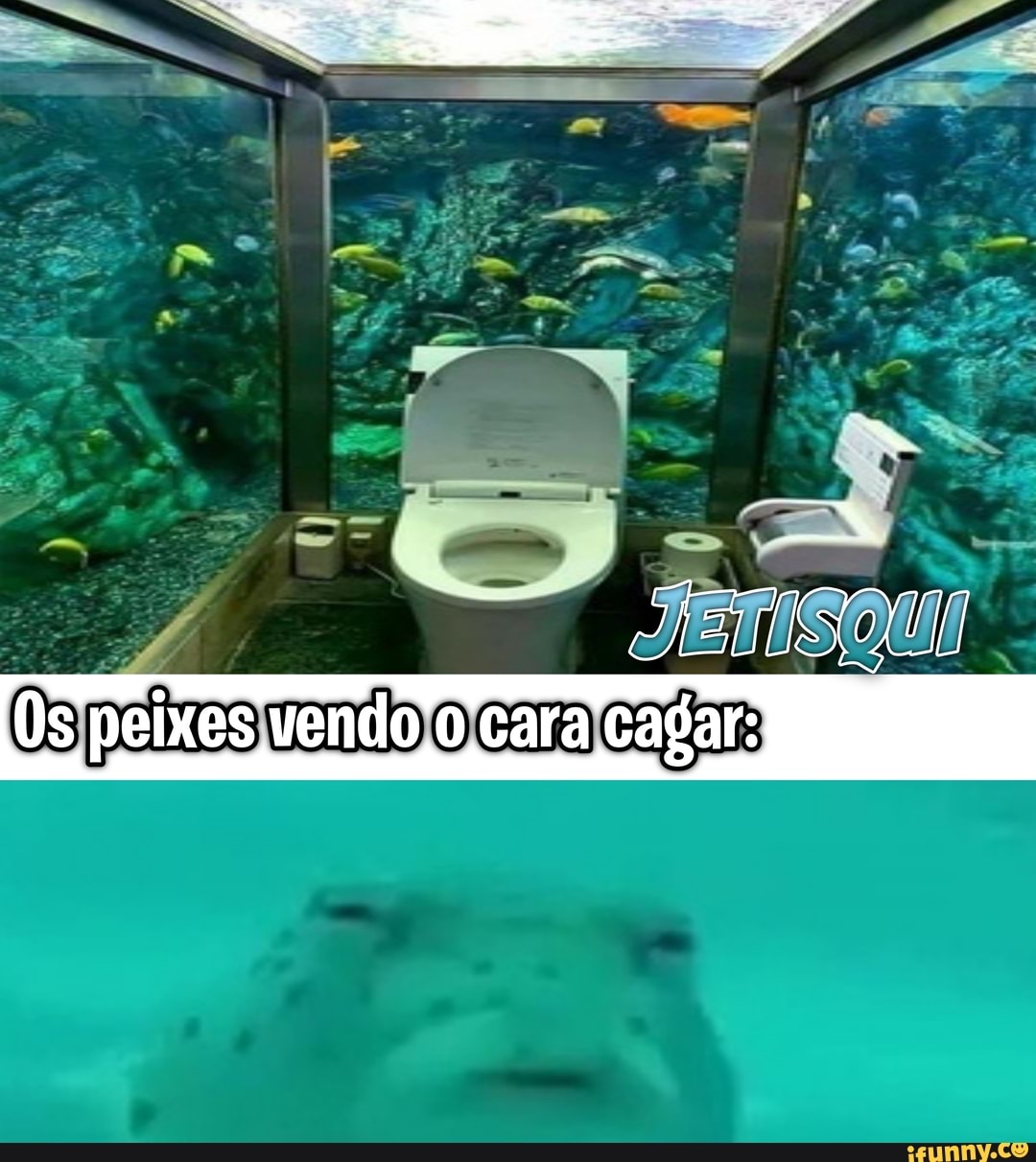 Os peixes vendo cara cagar: