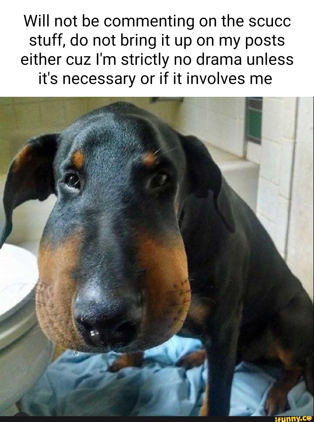 Will Not Be Commenting On The Scucc Stuff Do Not Bring It Up On My Posts Either Cuz I M Strictly No Drama Unless It S Necessary Or If It Involves Me