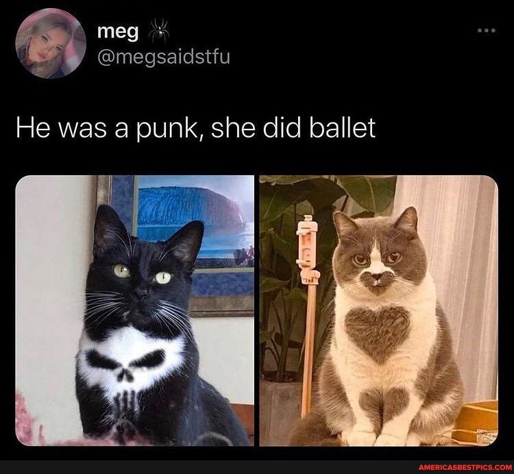 \ meg
@megsaicstiu
He was punk, she did ballet