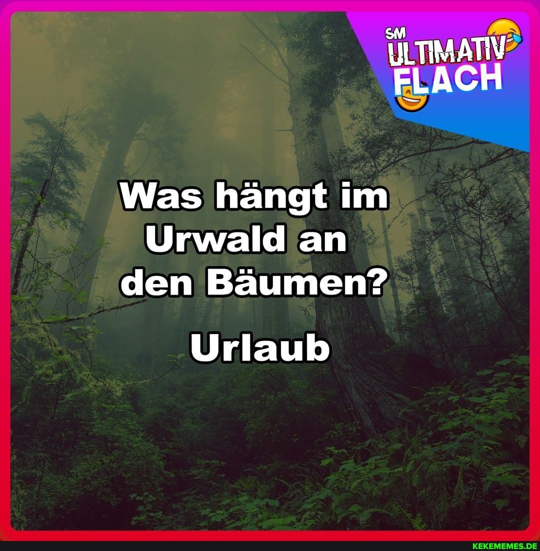 UILTIMATIV FLACH
Was hängt im
Urwald an den Bäumen?
Urlaub
