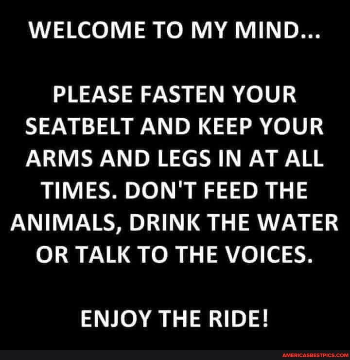 WELCOME TO MY MIND...
PLEASE FASTEN YOUR SEATBELT AND KEEP YOUR ARMS AND LEGS IN AT ALL
TIMES. DON'T FEED THE ANIMALS, DRINK THE WATER OR TALK TO THE VOICES.
ENJOY THE RIDE!