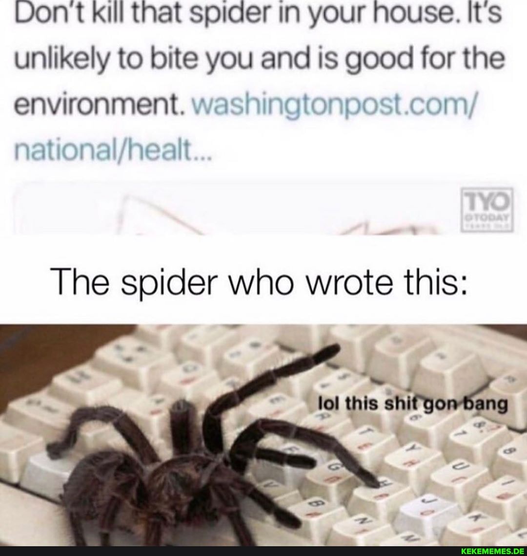 DON t kill that spider in your house. It's unlikely to bite you and is good for the environment. washingtonpost.com/
The spider who wrote this:
this shit tong