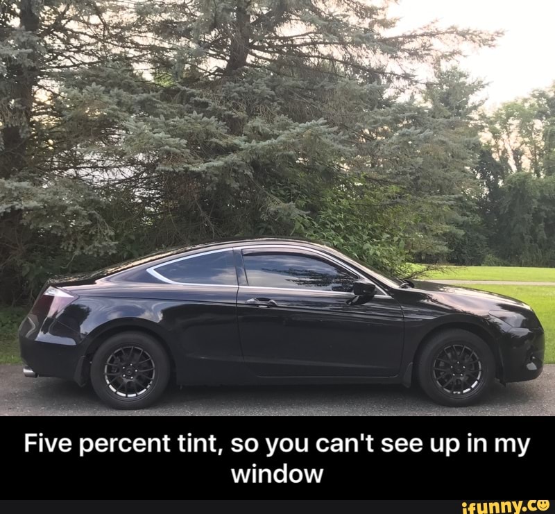 five percent tint so you can t see up in my window ifunny five percent tint so you can t see up