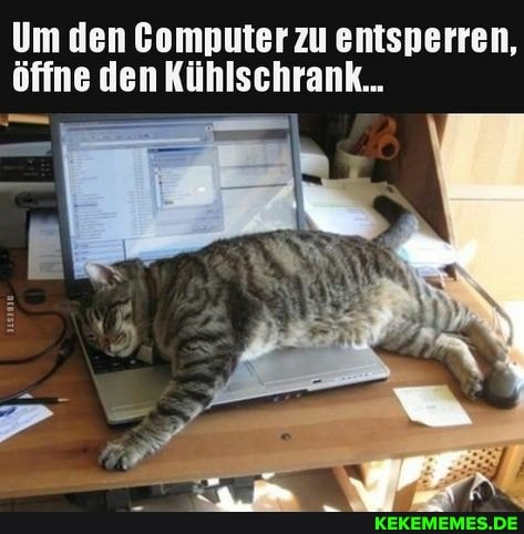 Um den Gomputer zu entsperren, öffne den Kühlschrank...