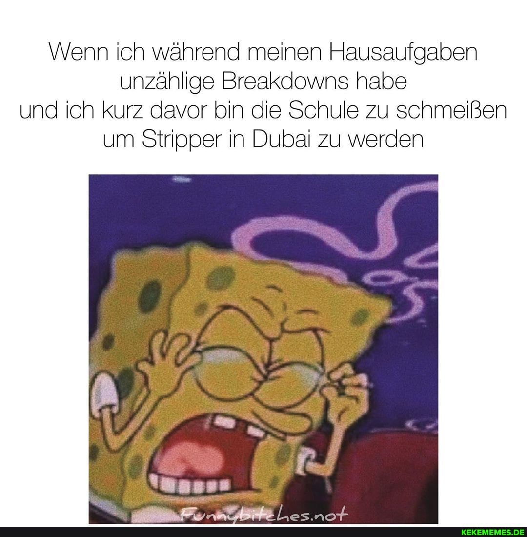 Wenn ich während meinen Hausaufgaben unzählige Breakdowns habe und ich kurz davor bin die Schule zu schmeißen um Stripper in Dubai zu werden