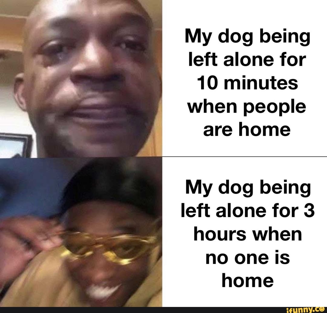My dog being left alone for 10 minutes when people are home My dog