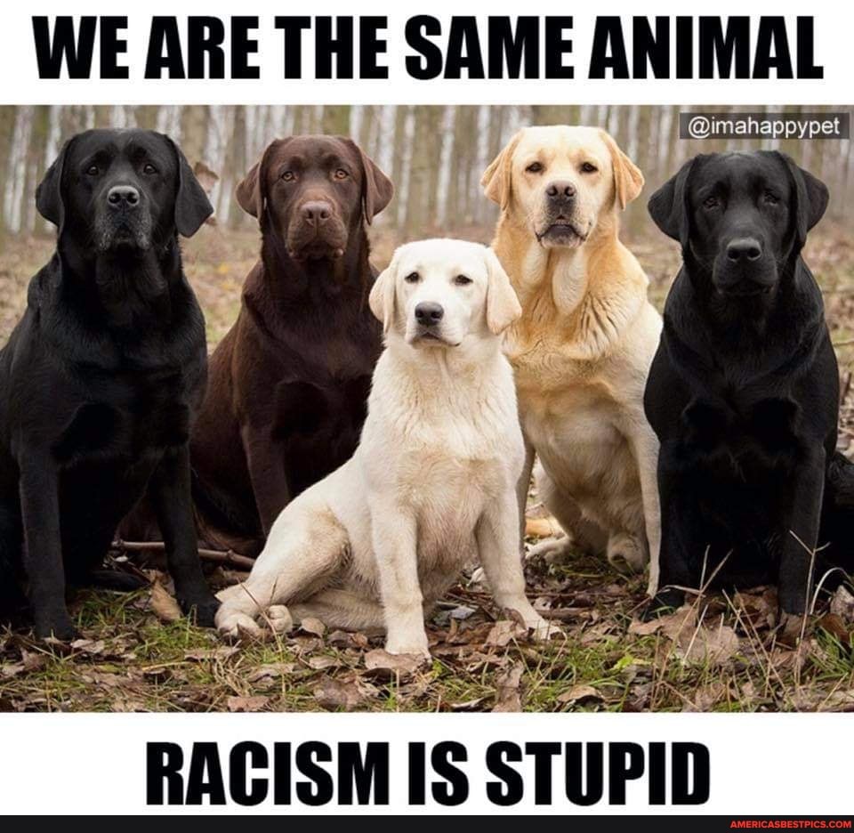 WE ARE THE SAME ANIMAL
RACISM IS STUPID