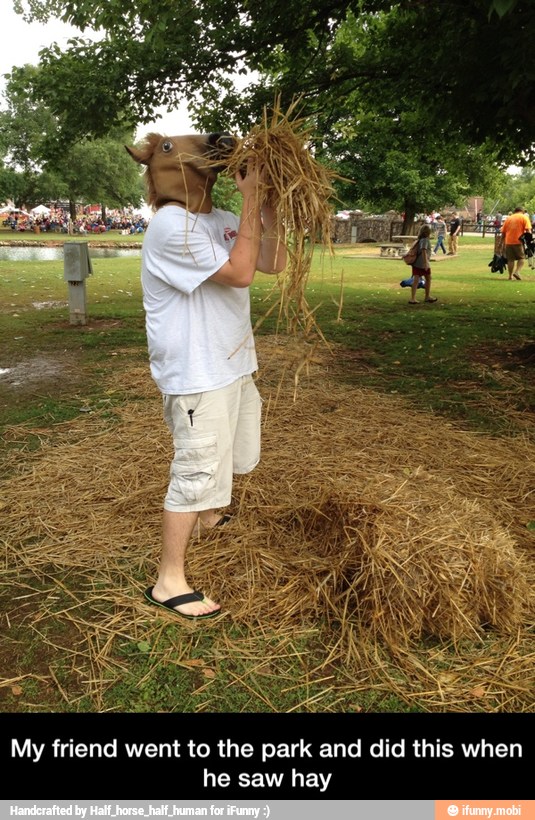My friend went to the park and did this when
he saw hay - My friend went to the park and did this when he saw hay
