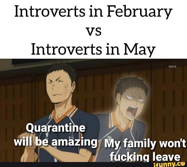 Introverts in February
vs
Introverts in May
a