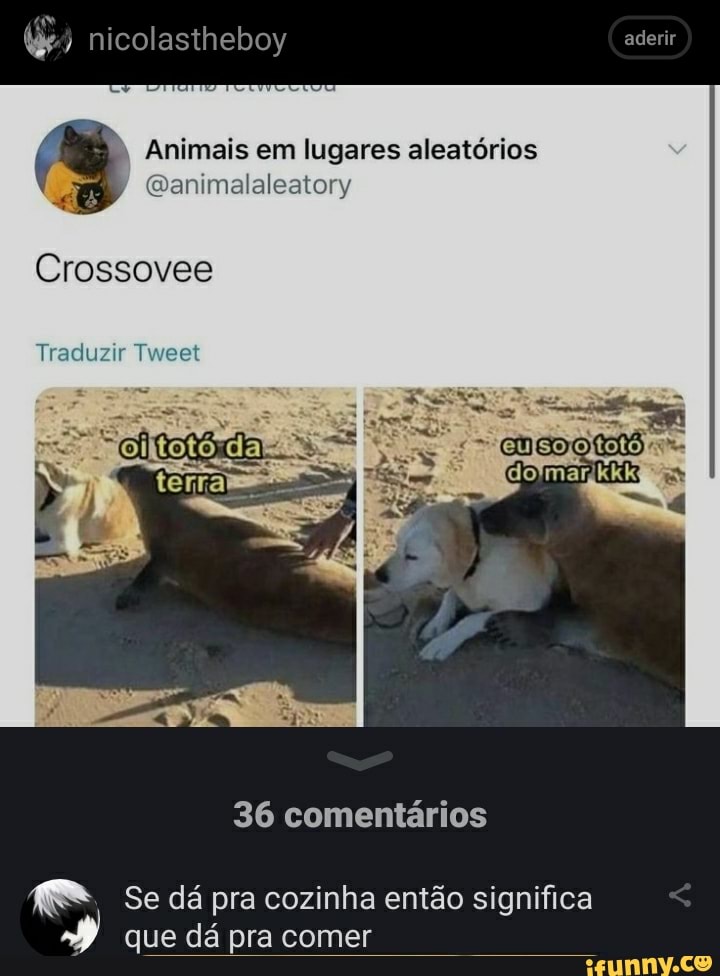 nicolastheboy aderir
Animais em lugares aleatórios
Ganimalaleatory
Crossovee
Traduzir Tweet
36 comentários
fE*, Se dá pra cozinha então significa que dá pra comer