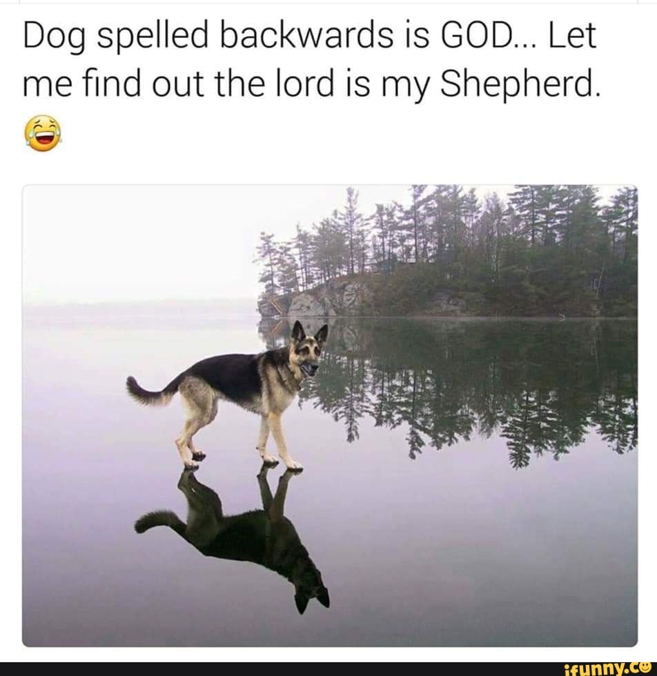 Dog Spelled Backwards Is God Let Me Find Out The Lord Is My Shepherd S Ifunny