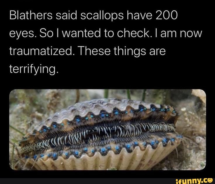 Man arrested for training dog to throw bricks at people ringing his