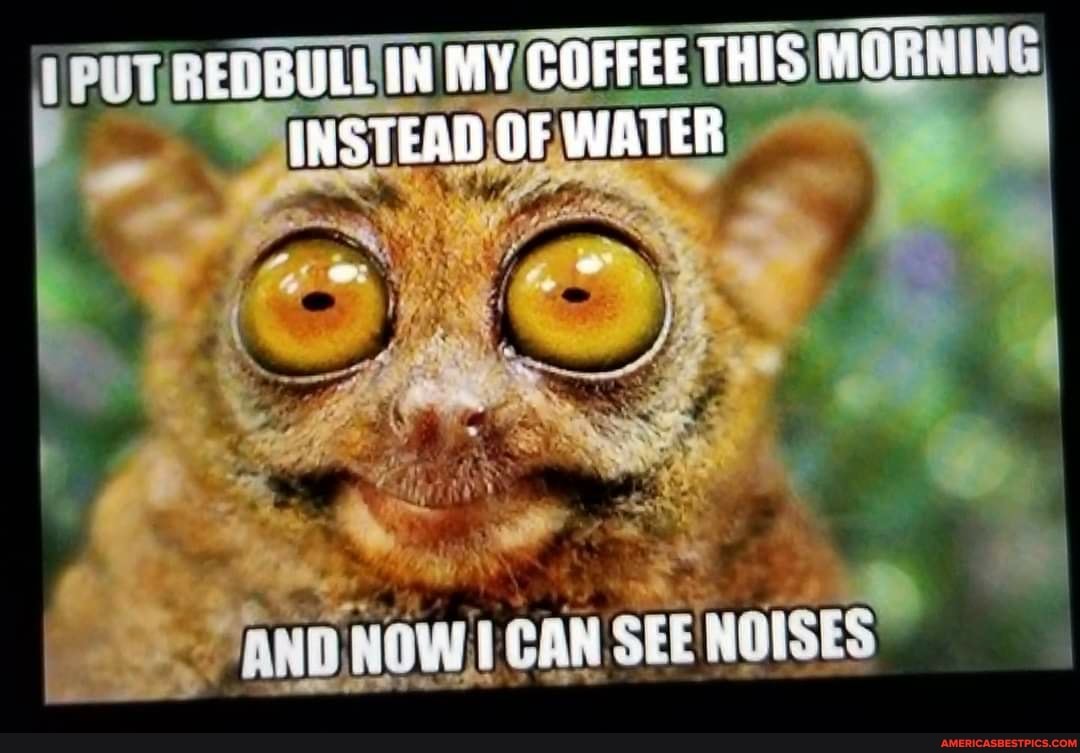 BULLEN MY COFFEE THIS INSTEAD OF WATER
