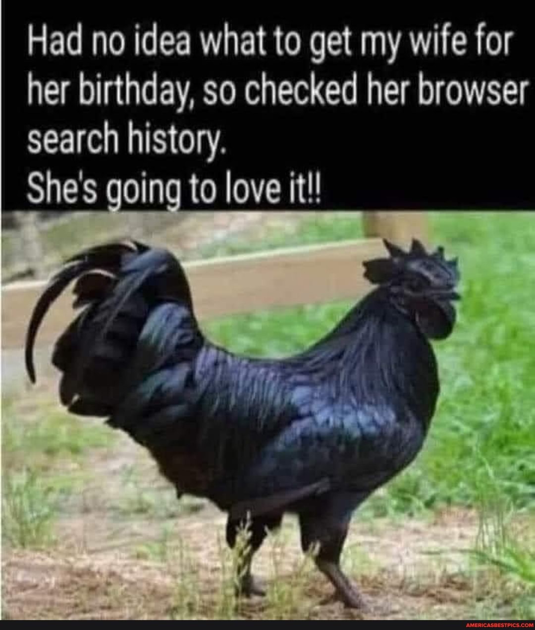 Had no idea what to get my wife for her birthday, so checked her browser search history.
She's going to love it!!