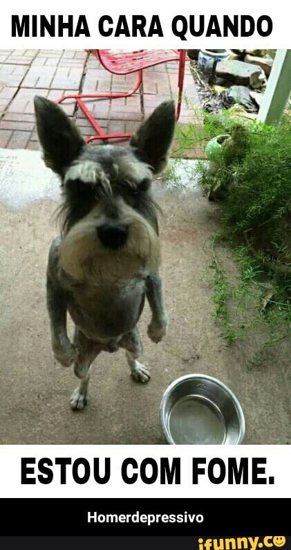 MINHA CARA QUANTO
ESTOU COM
FOME.
Homerdepressivo - Homerdepressivo