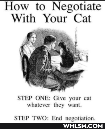How to Negotiate
With Your Cat
STEP ONE: Give your cat whatever they want.