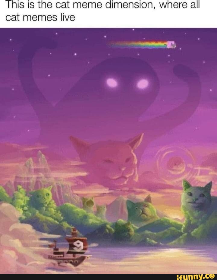 This is the cat meme dimension, where all cat memes live - iFunny