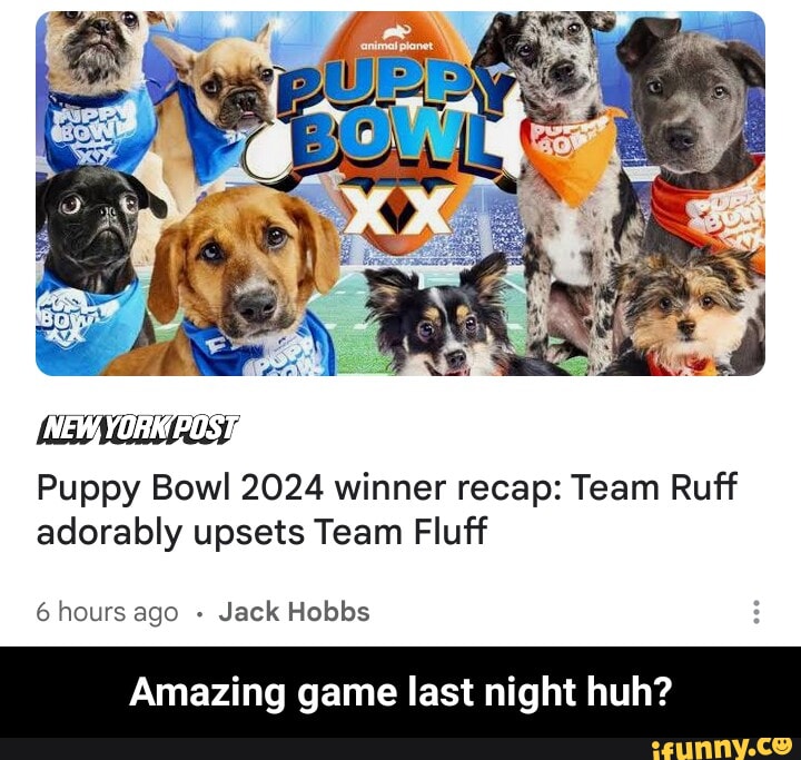 On gang the gang in question: - iFunny