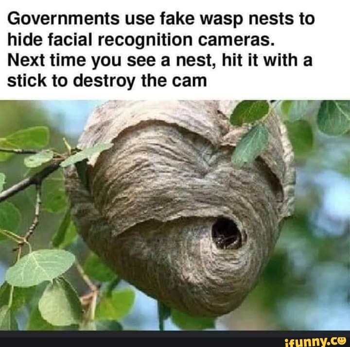Governments use fake wasp nests to hide facial recognition cameras.
Next time you see a nest, hit it with a stick to destroy the cam