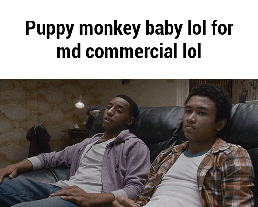 Puppy Monkey Baby Lol For Md Commercial Lol Ifunny